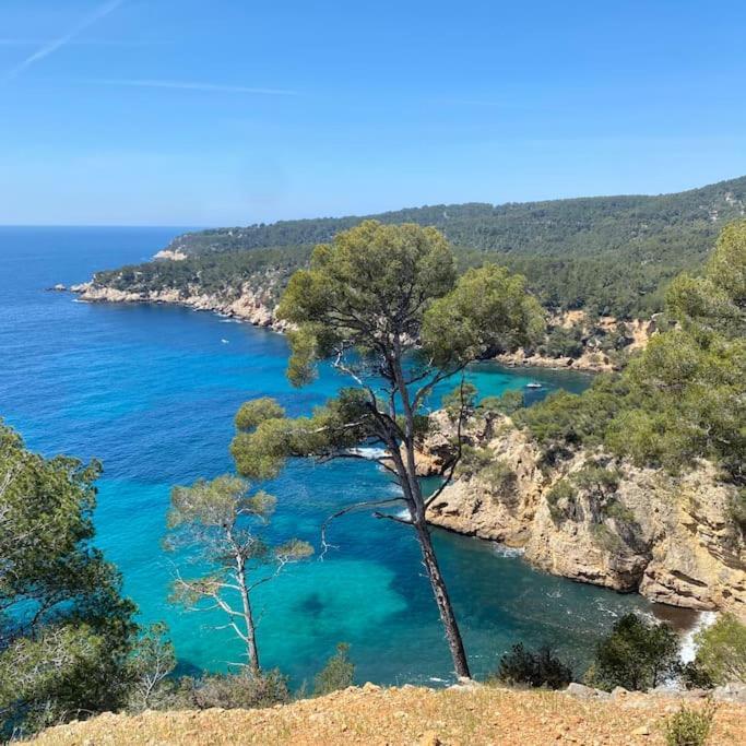 Villa La Louette, 100M Centre-Village, Piscine H-Sol, Proche Mer Saint-Cyr-sur-Mer Eksteriør billede
